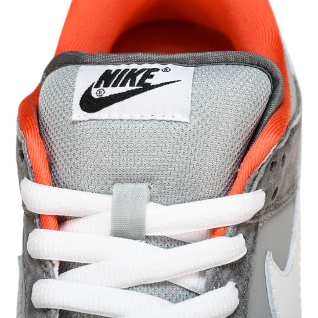 Jeff Staple x SB Dnk Low 'NYC Pigeon'